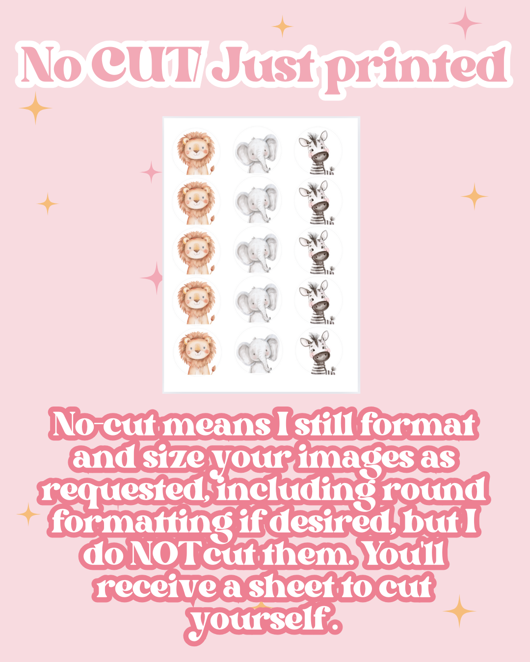 (NO LONGER AVAILABLE) Custom XL SHEET Edible Images